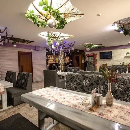 Hotel Dovbushanka *