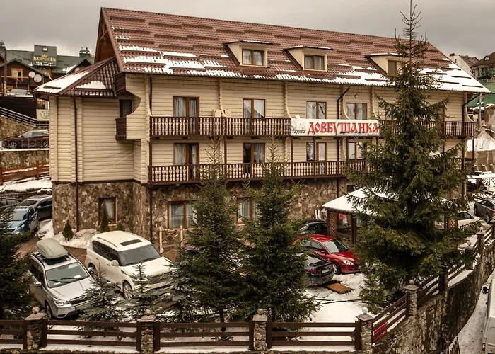 Dovbushanka 酒店