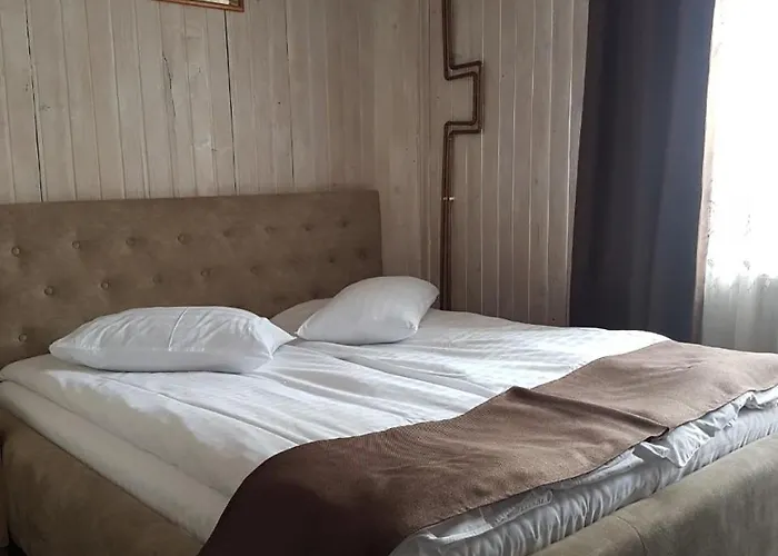 Dovbushanka 酒店 *