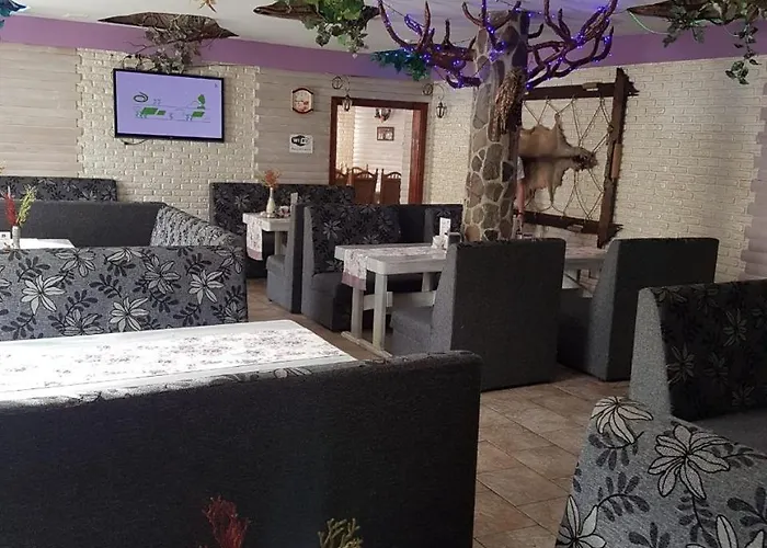 Dovbushanka 酒店 *