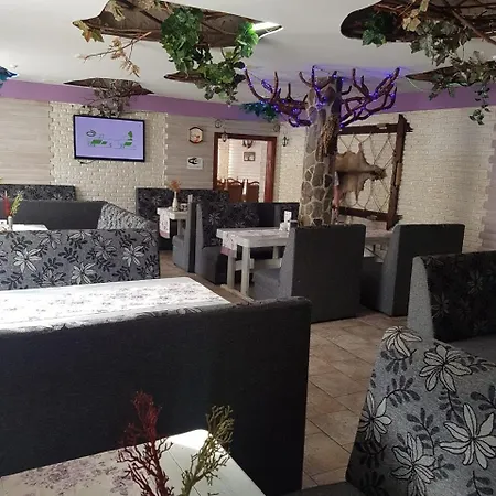 Dovbushanka Hotel *